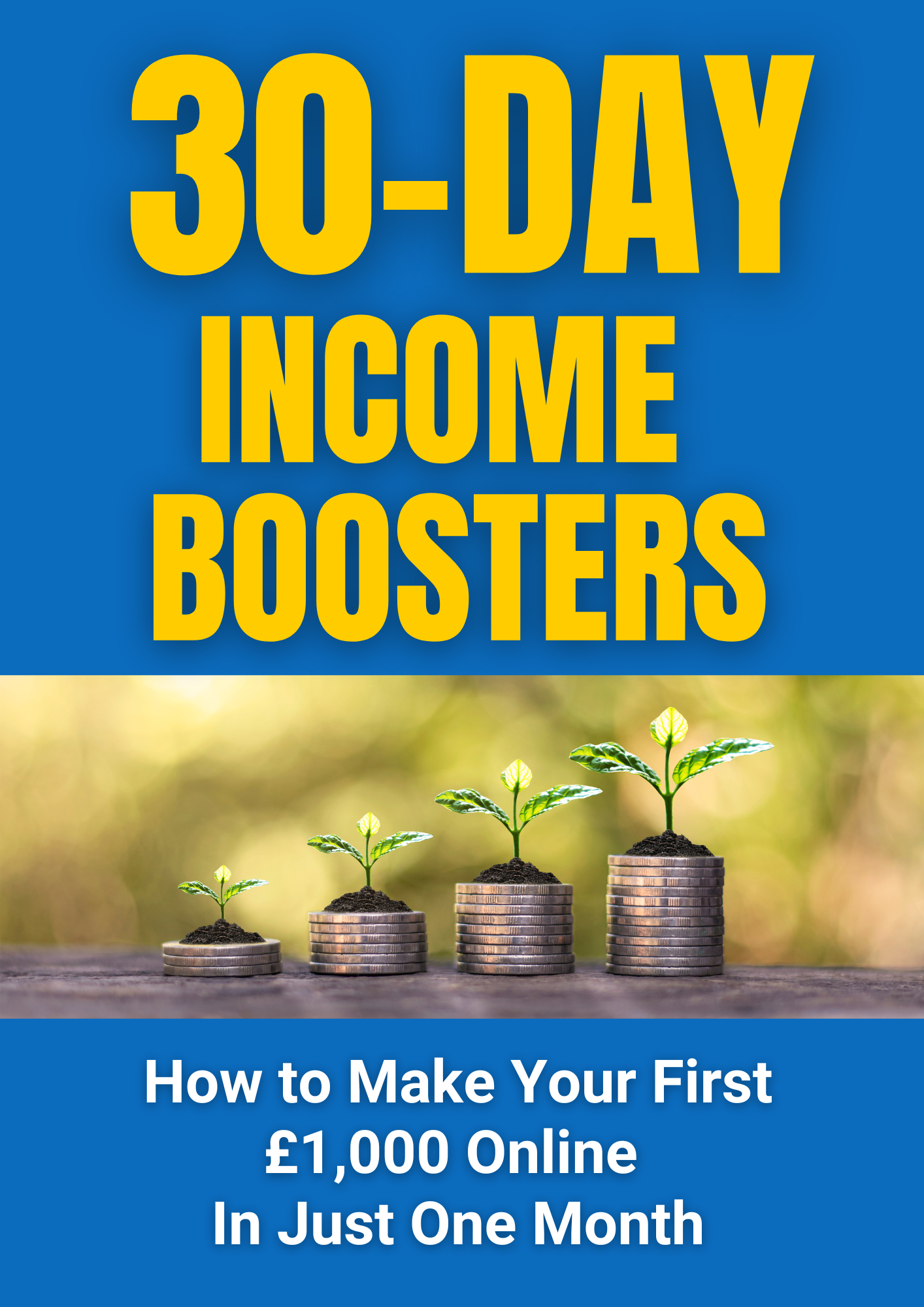 30 Day Income
